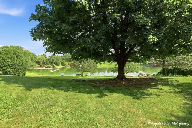 33481 N Christa Drive, Ingleside, IL 60041