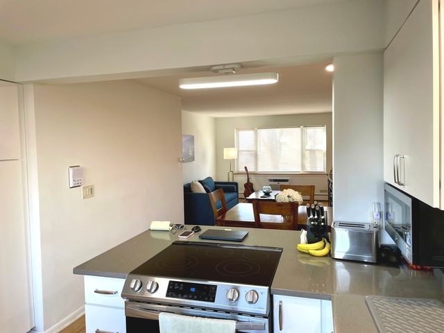 1539 Park Avenue 2n, River Forest, IL 60305