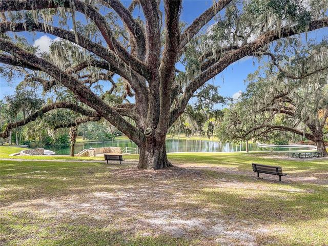 210 WEEPING ELM LANE, Longwood, FL 32779