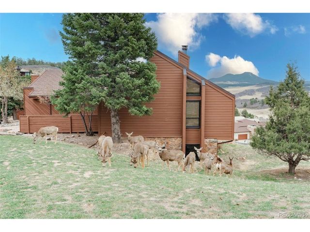 4452 Sentinel Rock, Larkspur, CO 80118