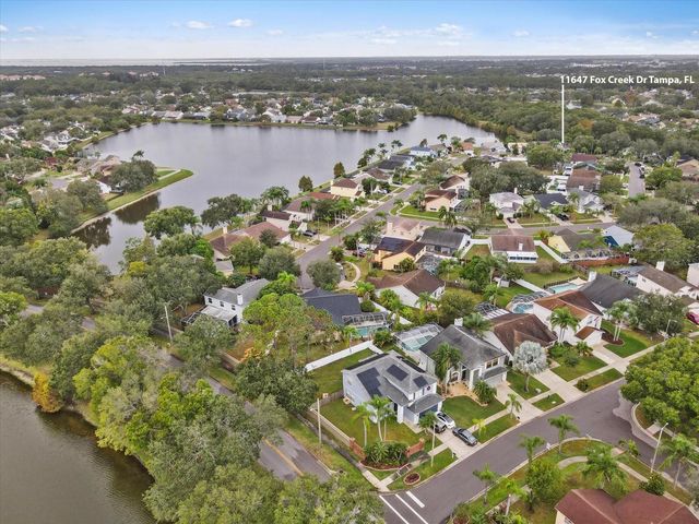 11647 FOX CREEK DRIVE, Tampa, FL 33635