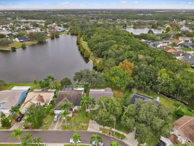 11647 FOX CREEK DRIVE, Tampa, FL 33635