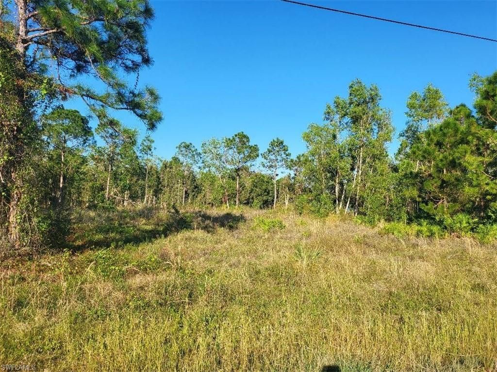 519 Grant BLVD, LEHIGH ACRES, FL 33974 — photo 3