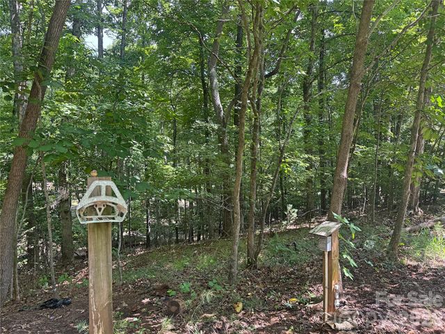 173 Croom Hollow Drive, Nebo, NC 28761