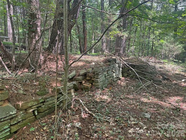 173 Croom Hollow Drive, Nebo, NC 28761
