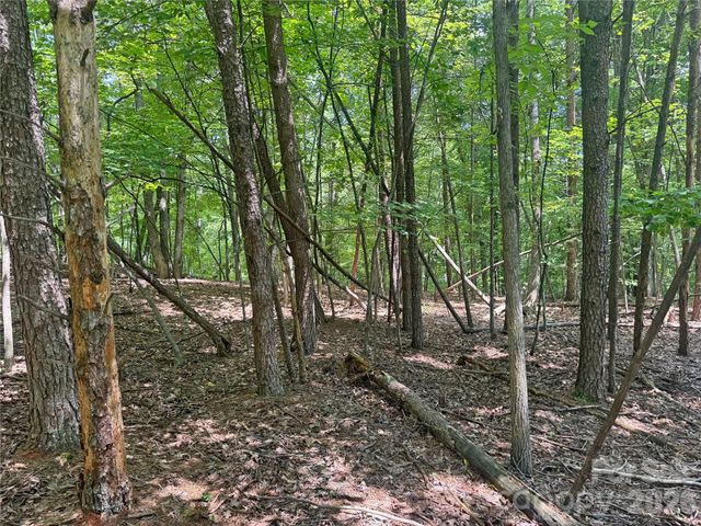 173 Croom Hollow Drive, Nebo, NC 28761