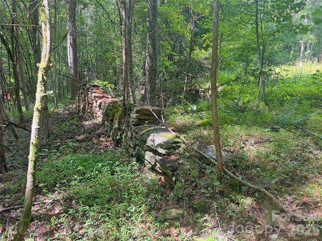 173 Croom Hollow Drive, Nebo, NC 28761