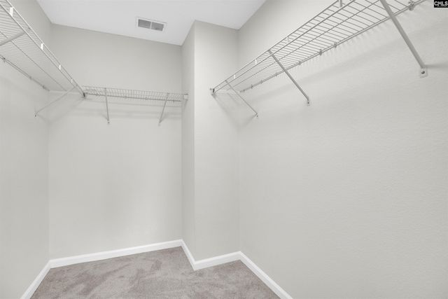 1040 Coralbean Way, Columbia, SC 29229