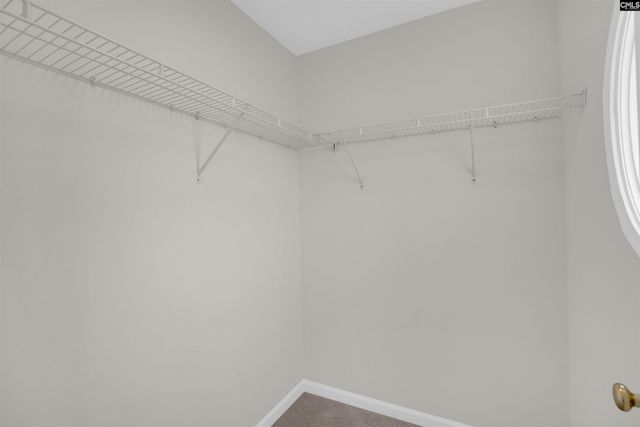 1040 Coralbean Way, Columbia, SC 29229