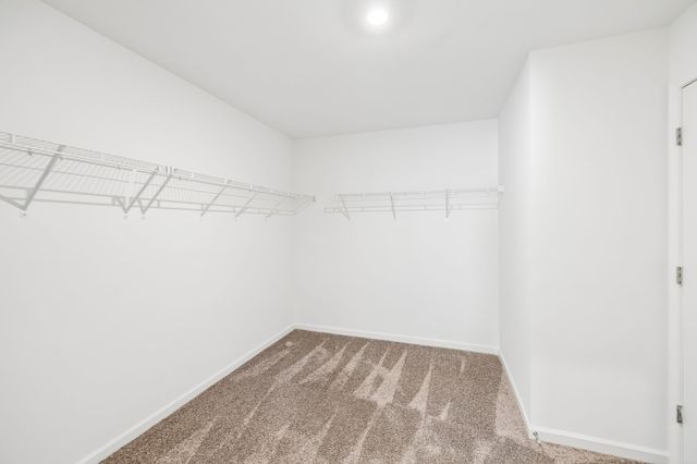 536 Morgan Meadows Way, Columbia, TN 38401