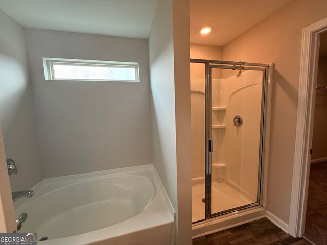 254 Hamilton Pointe Drive, Mcdonough, GA 30253