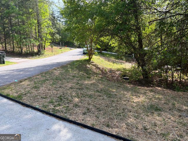 115 Richard Street, Clarkesville, GA 30523