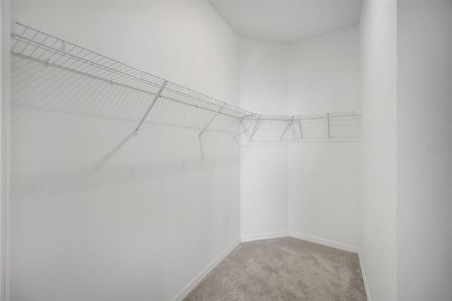 2555 BENDING BONSAI DRIVE, Wesley Chapel, FL 33543