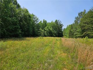 39.27 Acres Amelia Springs Rd, Jetersville, VA 23083