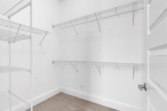 3841 NIGHT STAR TRAIL, Odessa, FL 33556