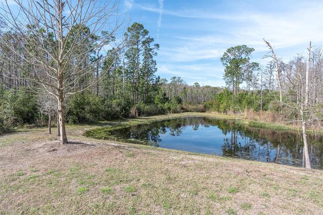 3841 NIGHT STAR TRAIL, Odessa, FL 33556