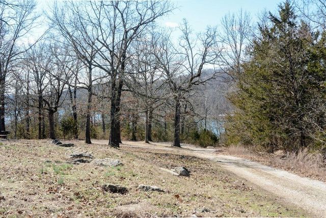 27 Blue Bird Way 3, Branson, MO 65616