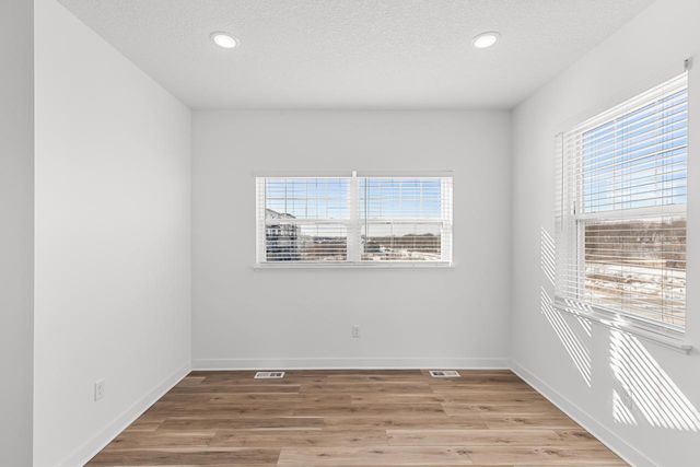 3163 Clover Ridge Drive, Chaska, MN 55318