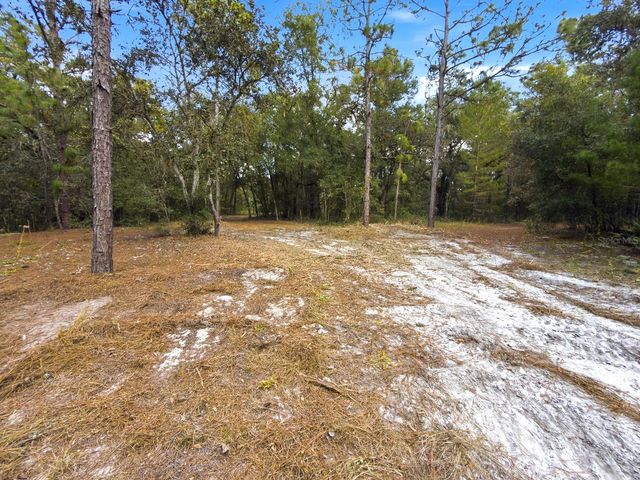 34095 HYATT RD, Dade City, FL 33523