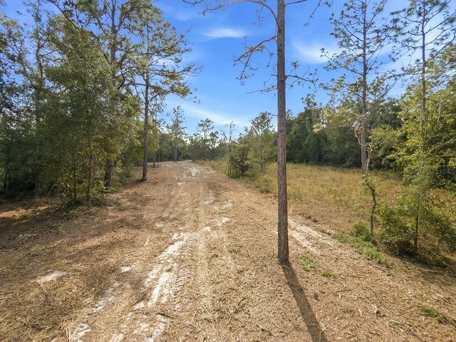 34095 HYATT RD, Dade City, FL 33523