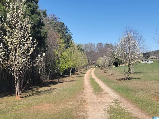 117 COUNTY ROAD 706, Roanoke, AL 36274