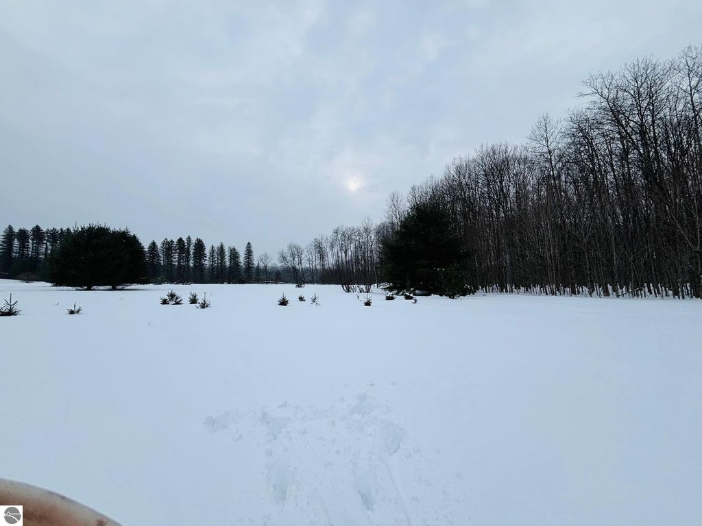 Image 48 of property listing at 1392 N Intermediate Lake Road, Central Lake, MI 49622