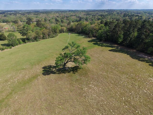 16742 Fm 831, Buffalo, TX 75831