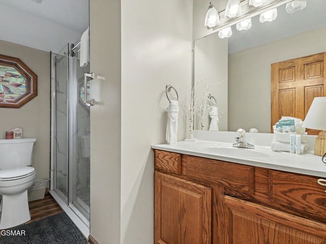 318 Greenwood Way, Pigeon Forge, TN 37863