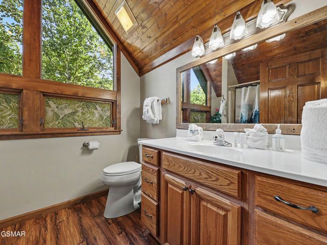318 Greenwood Way, Pigeon Forge, TN 37863