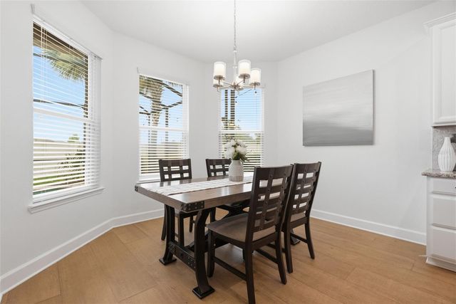 9323 BELLA VITA CIRCLE, Land O Lakes, FL 34637