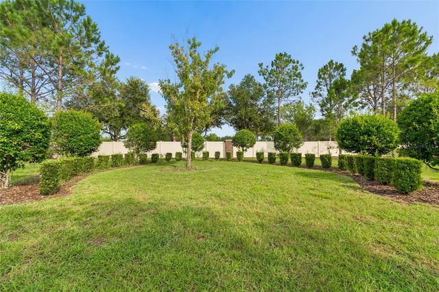 9323 BELLA VITA CIRCLE, Land O Lakes, FL 34637