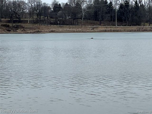 4723 4th Street, Columbiaville, MI 48421