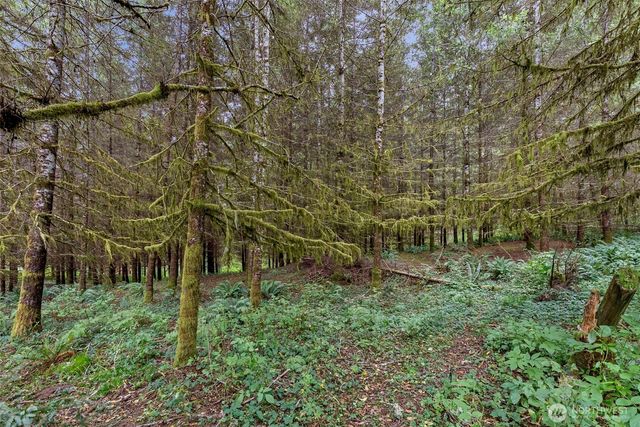 17 McKinney Road, Raymond, WA 98577