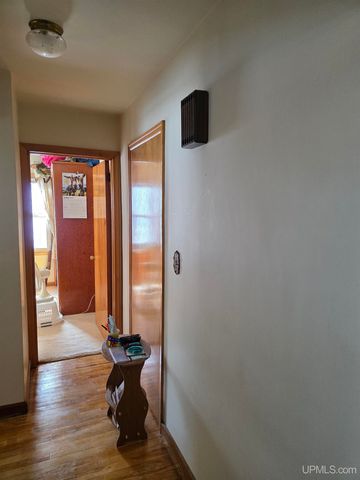 817 W Maple Street, Iron River, MI 49935