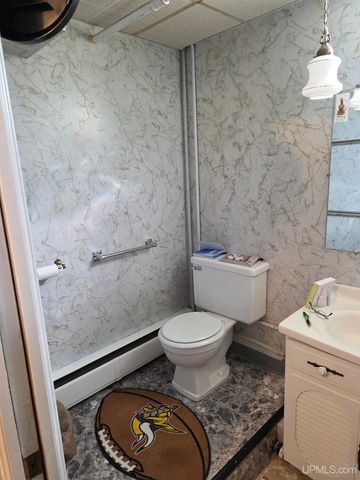 817 W Maple Street, Iron River, MI 49935