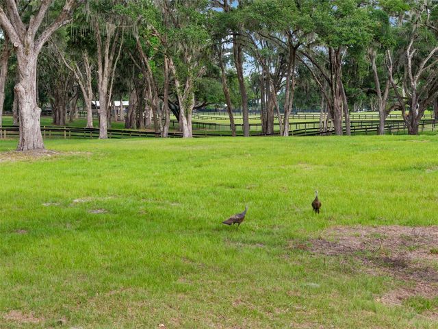 11140 NW 160TH AVENUE, Morriston, FL 32668