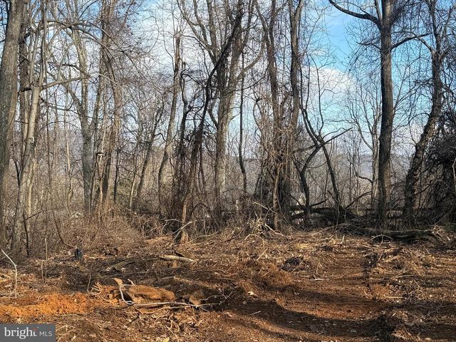 LOT 19 HIGHRIDGE RD, Front Royal, VA 22630