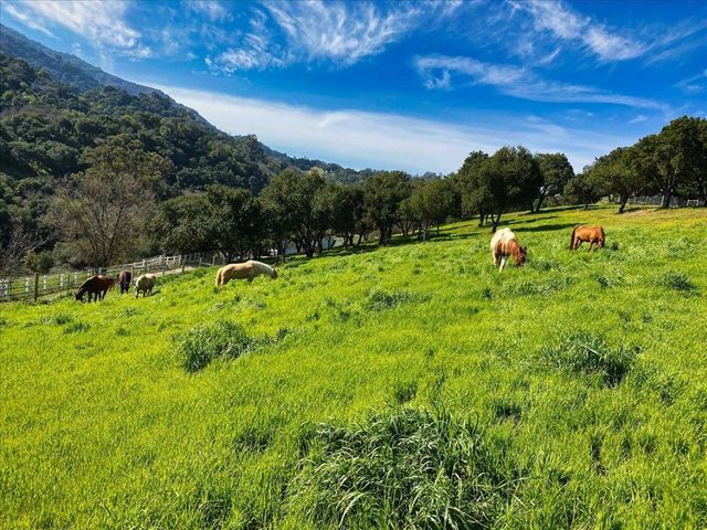 14411 Shannon Road, Los Gatos, CA 95032