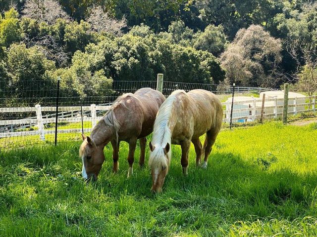 14411 Shannon Road, Los Gatos, CA 95032