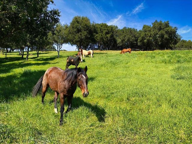 14411 Shannon Road, Los Gatos, CA 95032