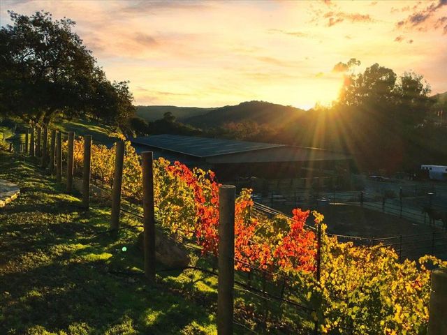 14411 Shannon Road, Los Gatos, CA 95032
