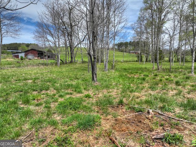 139 Cedar Lane, Blairsville, GA 30512
