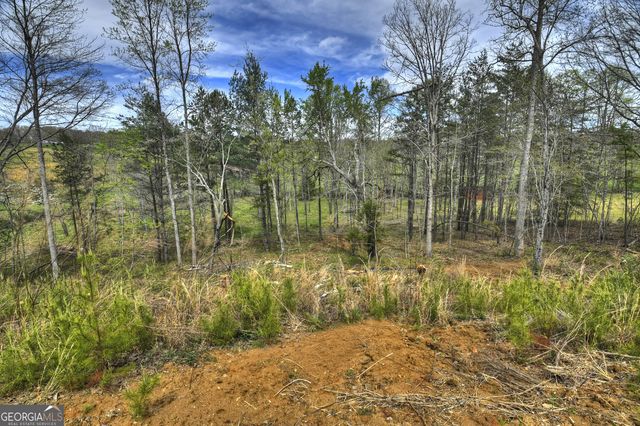 139 Cedar Lane, Blairsville, GA 30512