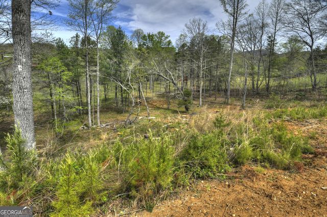 139 Cedar Lane, Blairsville, GA 30512
