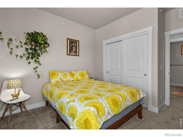 6826 School House Drive 203, Timnath, CO 80547