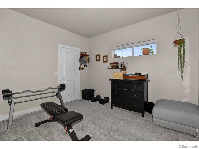 6826 School House Drive 203, Timnath, CO 80547