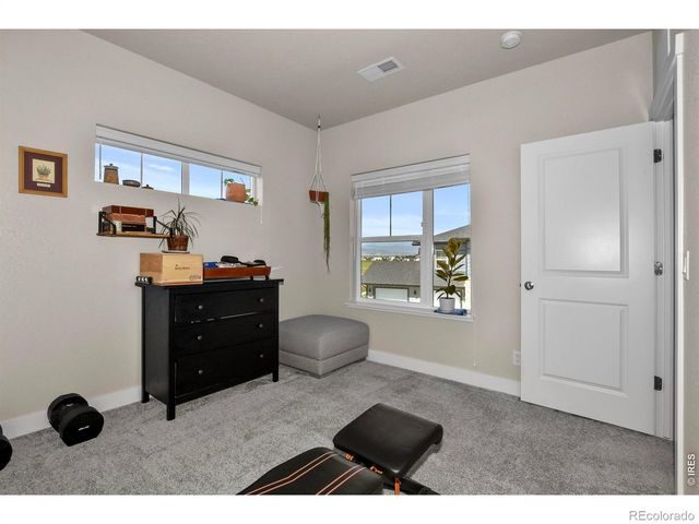 6826 School House Drive 203, Timnath, CO 80547