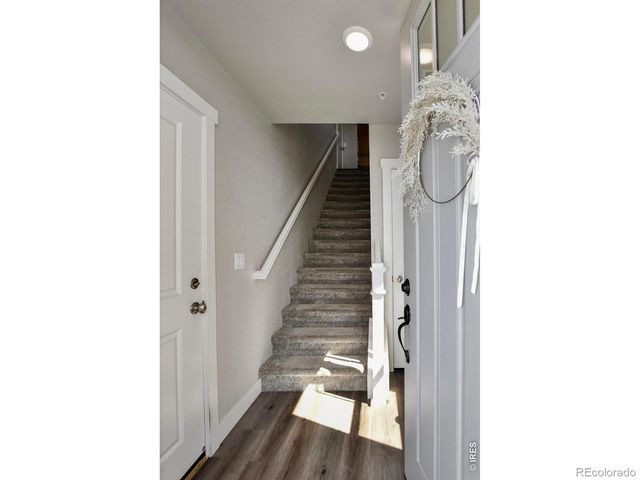 6826 School House Drive 203, Timnath, CO 80547