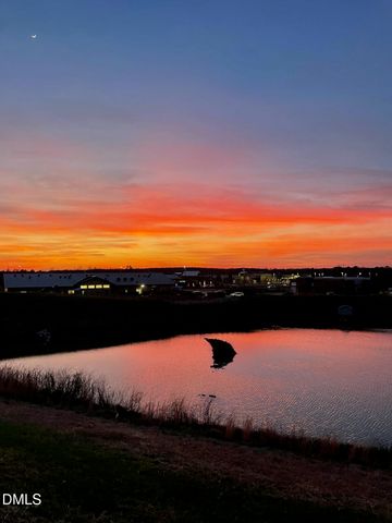 236 Douglas Falls Drive, Wendell, NC 27591