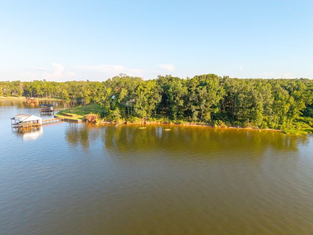Lot 16 N PR 52416, Leesburg, TX 75451